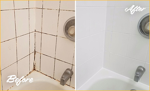 https://www.sirgroutatlanta.com/images/p/g/1/tile-grout-cleaners-moldy-bathtub-480.jpg