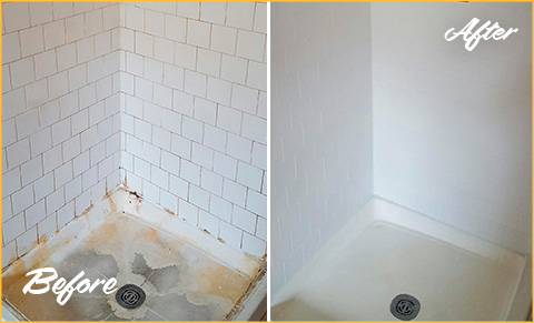 https://www.sirgroutatlanta.com/images/p/g/1/tile-grout-cleaners-soap-scum-shower-480.jpg