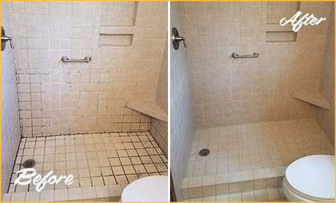 https://www.sirgroutatlanta.com/images/p/g/6/grout-cleaning-moldy-shower-480.jpg