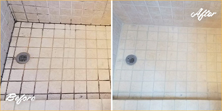Best Shower And Tile Grout Cleaner Available On